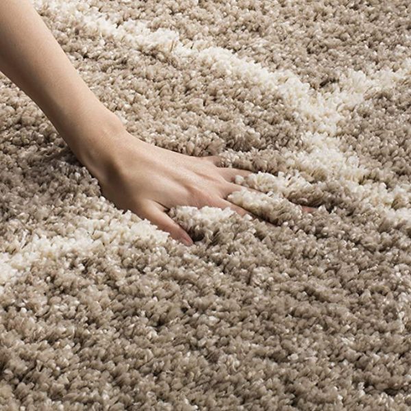 Carpet
